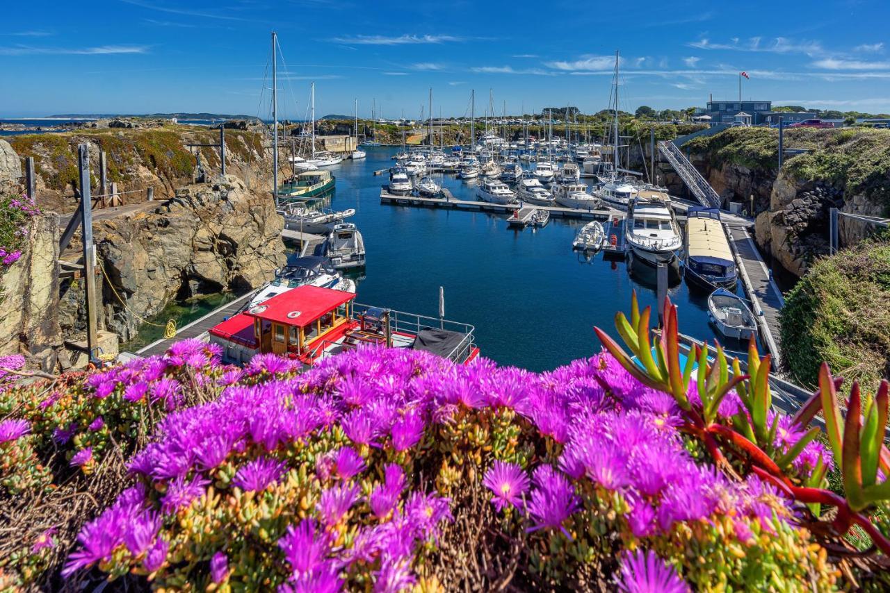 Ellingham Apartments, Bordeaux Harbour, Guernsey Vale Exterior foto